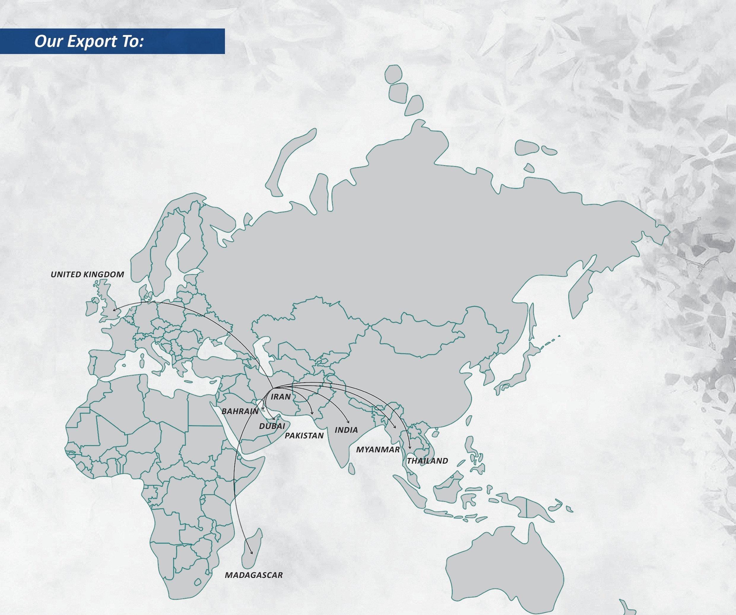 Our Export Destinations